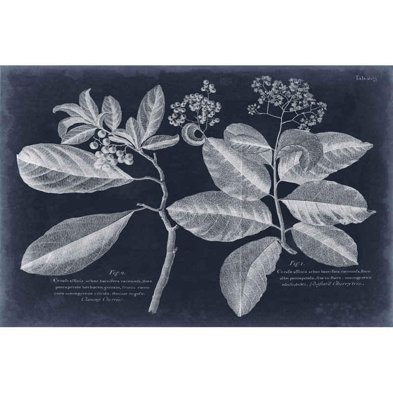 Foliage On Navy IV by Vision Studio - Wrapped Canvas Print, 81cm H x 122cm W