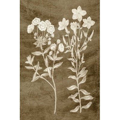 Botanique taupe I
