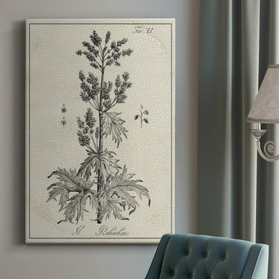 Impression sur toile antique antique botanique III