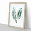 Indian Frankincense Flowers Illustration - Framed Print-55575979-55575983