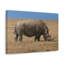 No Frame Print on Canvas