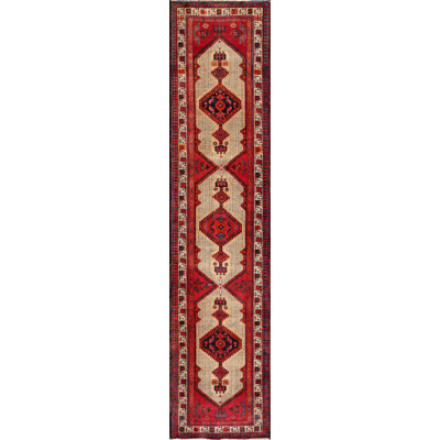 Oriental Area Rug