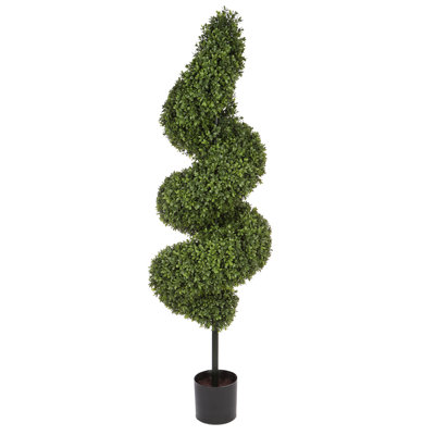 Boxwood Topiary