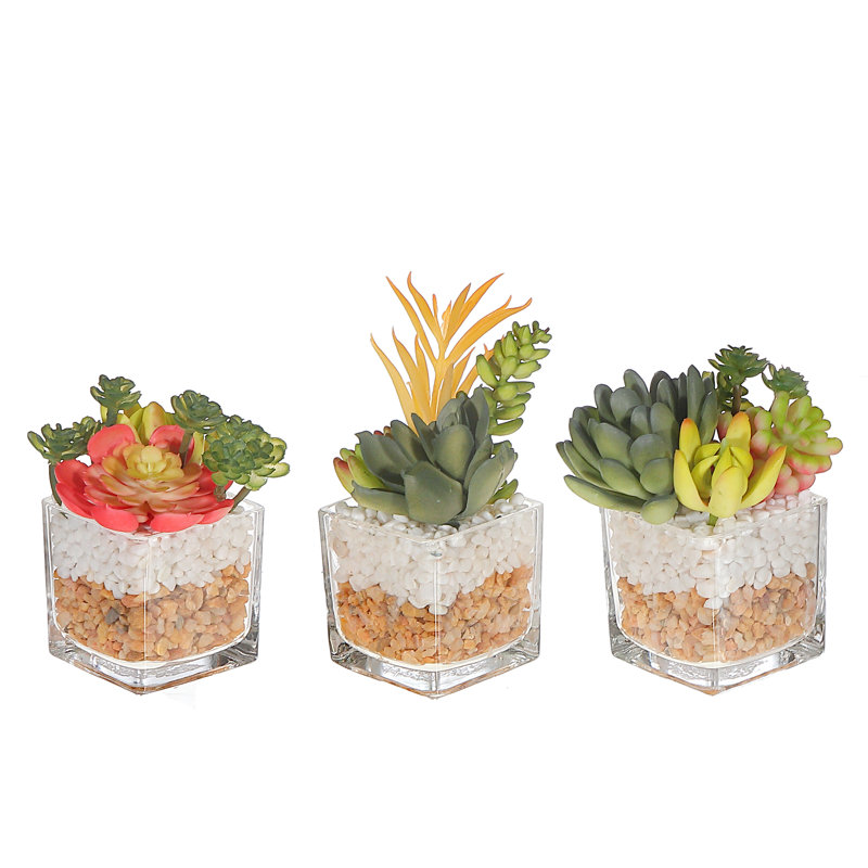4.25'' Faux Succulent in Glass Planter