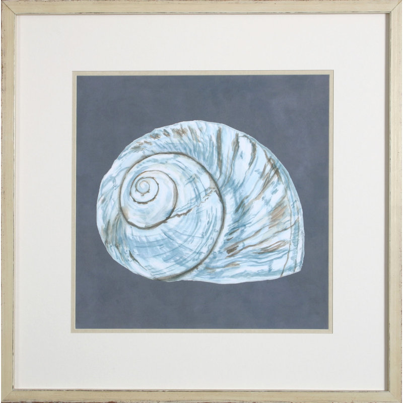 «Shell on Slate VIII» par Meagher - Reproduction de photo encadrée sur papier
