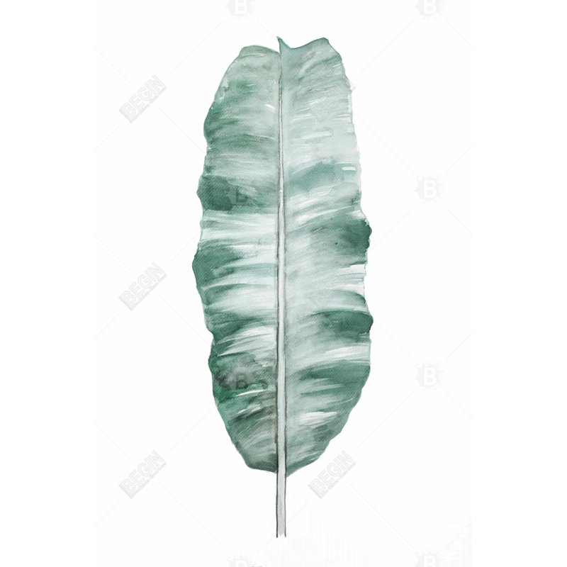 " Banana Leaf "
