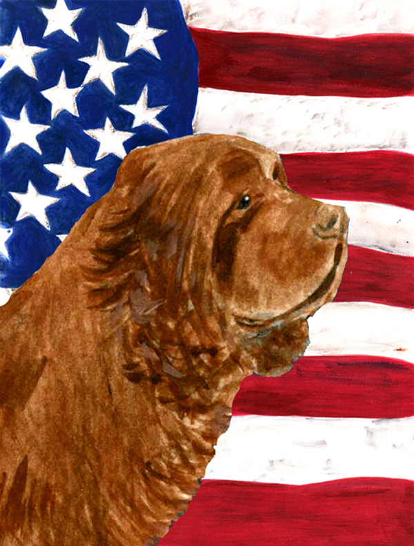 2 côtés en polyester de 2 côtés american drapeau de jardin, Chien thaïlandais à crête dorsale