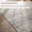 Indoor Rug-181649840