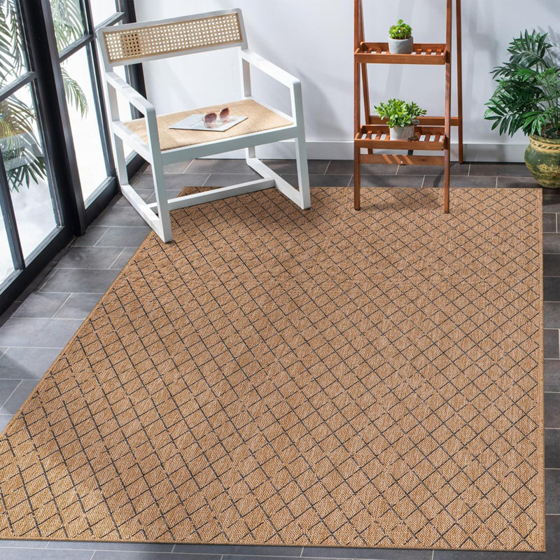 Non Slip Area Rugs Washable Carpet Pad Entryway Rug Weather Resistant Indoor and Outdoor Use 840305, Rectangle 160 x 230 cm