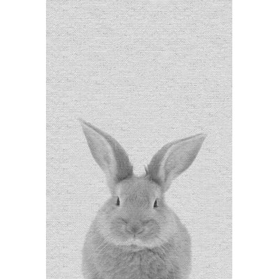 Chubby Rabbit - Drawing on Canvas