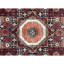 Hand Woven Wool Oriental Area Rug