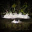 PEDESTAL Cake Stand