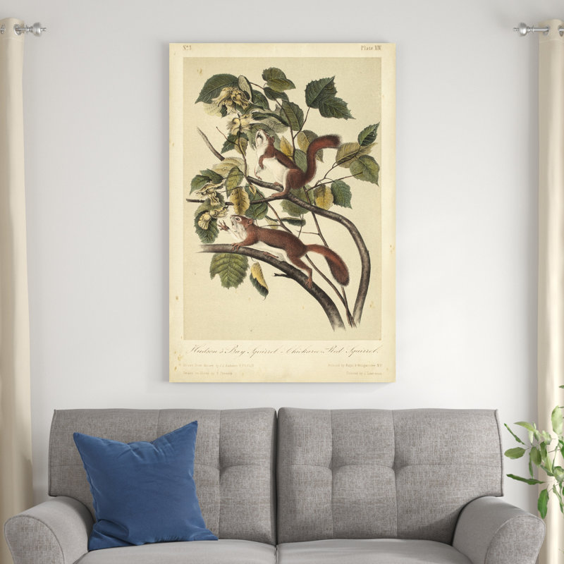 Écureuil Audubon II, H 48 po x l 32 po x P 1,25 po