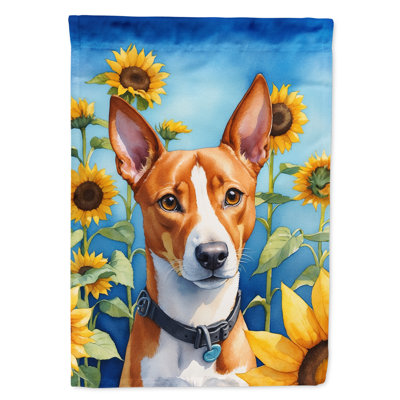 Drapeau de la maison du tournesol Malamute d'Alaska