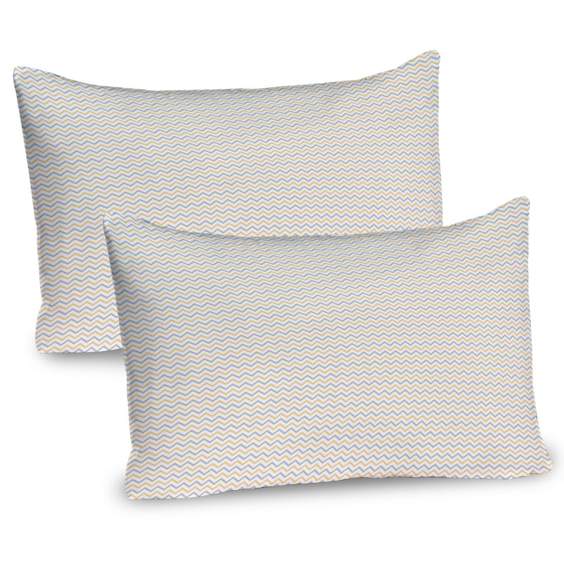 Ensemble de 2 taies décoratives Ambesonne, H 20 po x l 30 po