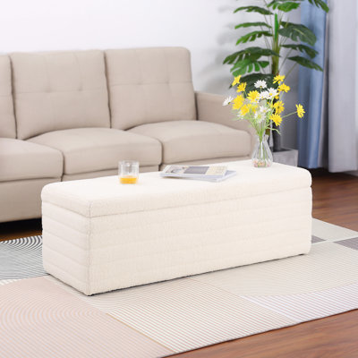 Banc de rangement avec repose-pieds 45,5 po Jaquayla Teddy 