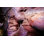 Lewis and Clark Caverns - Photographie sur toile tendue