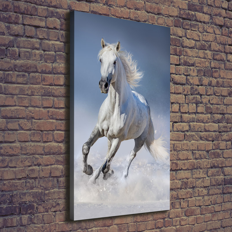 White Horse In Gallop - Wrapped Canvas Print