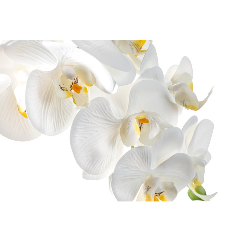 Orchidée fonctionnelle Realtouch dans un vase en ciment, Blanc
