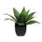 16" Artificial Potted Green Agave Succulent Plant