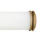 Remi 23.75" Integrated LED Bathroom Wall Light