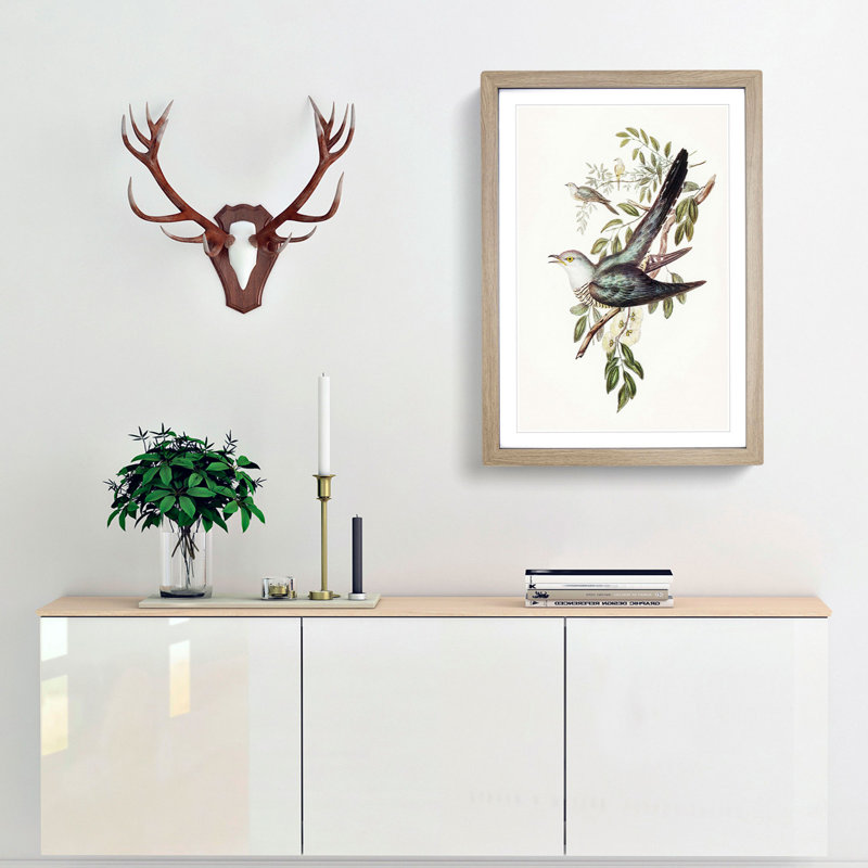 Australian Cuckoos by Elizabeth Gould - Framed Print, 45cm H x 33cm W x 2cm D, Oak Framed