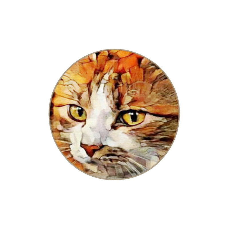 Orange Themed Surrealist Design Cat Patterned Modern Decorative Carpet, Round 5'