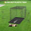 Small Animal-1761776391-1761776386
