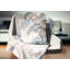 Coussin à imprimé floral chinois-31479647-31479650
