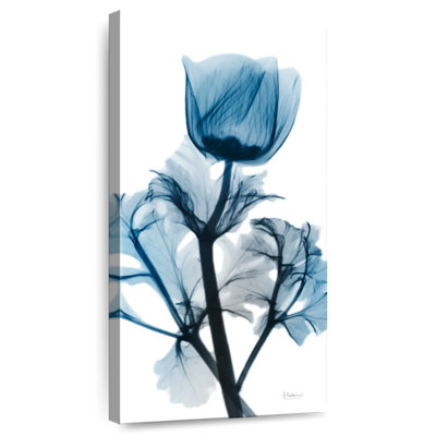 Sapphire Gleam II
