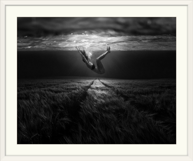 «Straub Underwaterlandream» par Peter Majkut - reproduction de photo, H 24 po x l 28 po x P 1 po, Cadre blanc