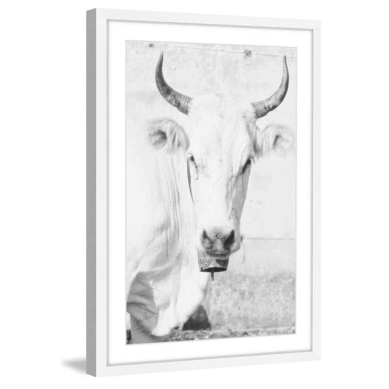 Handmade Black and White Cow Face Framed Canvas Print
