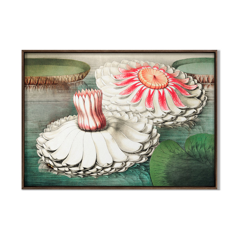 Lilies 2 Print by Grand Archives