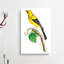 Lesser Banana-Bird by George Shaw - Wrapped Canvas-55330866