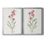 Delicate Pink I - ensemble de 2 reproductions d'art sur toile encadrées-61455384-61455386