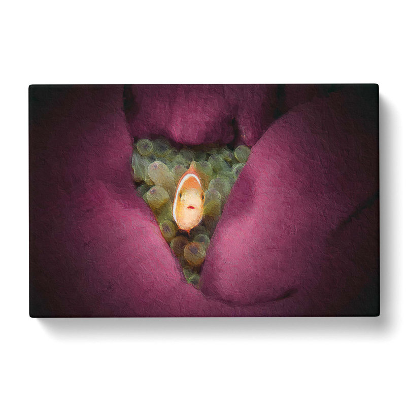 Clownfish & Sea Anemone - Wrapped Canvas, 35cm H x 50cm W x 3cm D