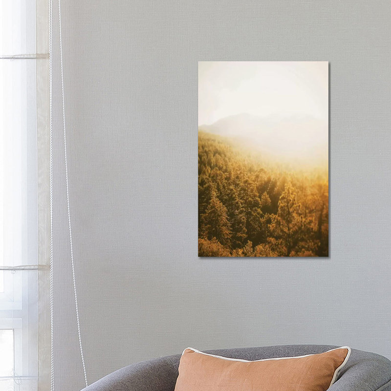 Golden Forest by Leah Straatsma - Wrapped Canvas Print, 30.48 cm H x 45.72 cm W
