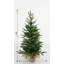 Arbre de Noël en pot 3 pi