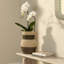Butterfly Seagrass Basket, Taupe-395300103