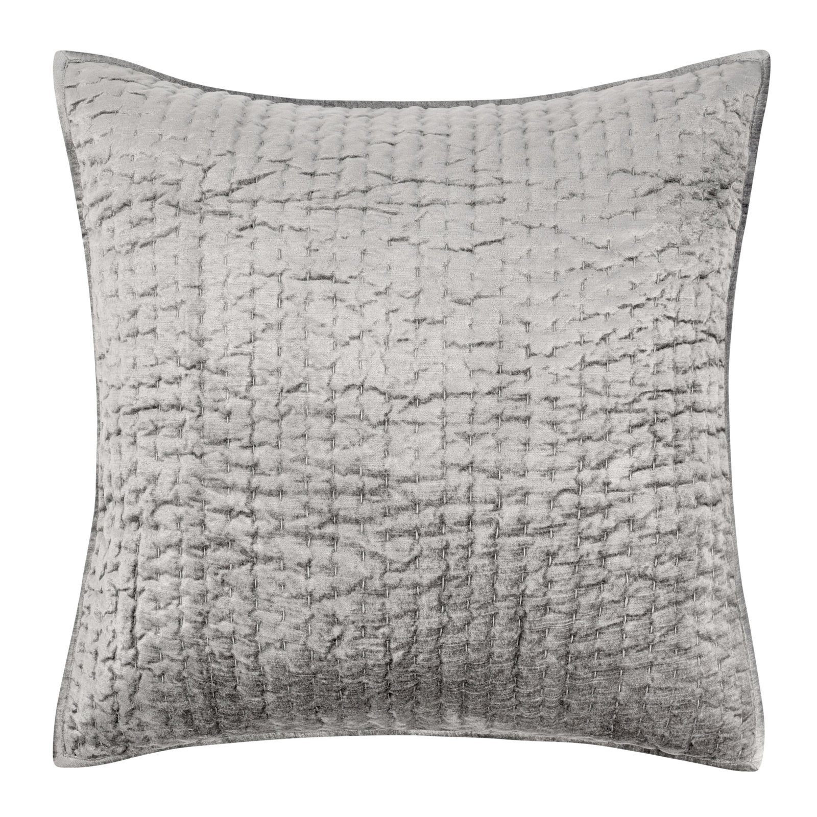 Lucio Shams, Euro, Gray