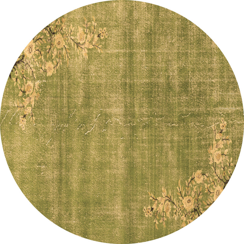 Jerriyah Performance Oriental Indoor Rug, Round 3'