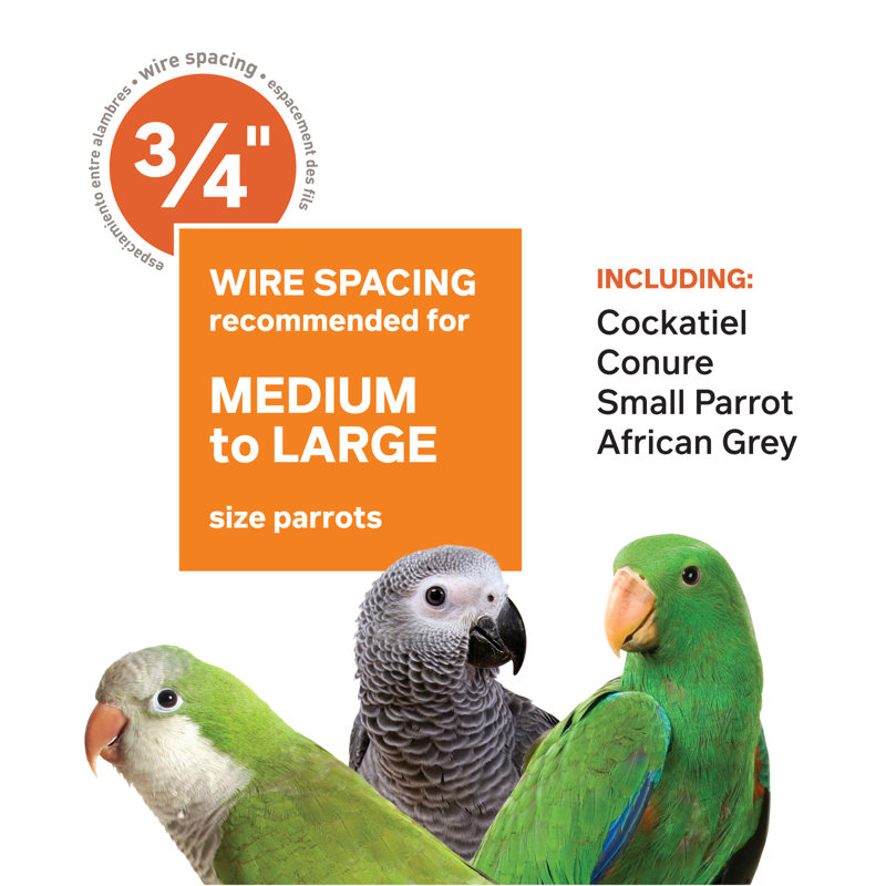Medium Stainless Steel Playtop Bird Cage with Wheels