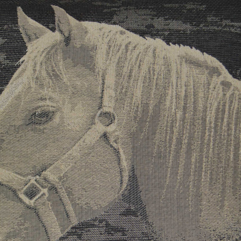 Tissu Mister Ed, Noir