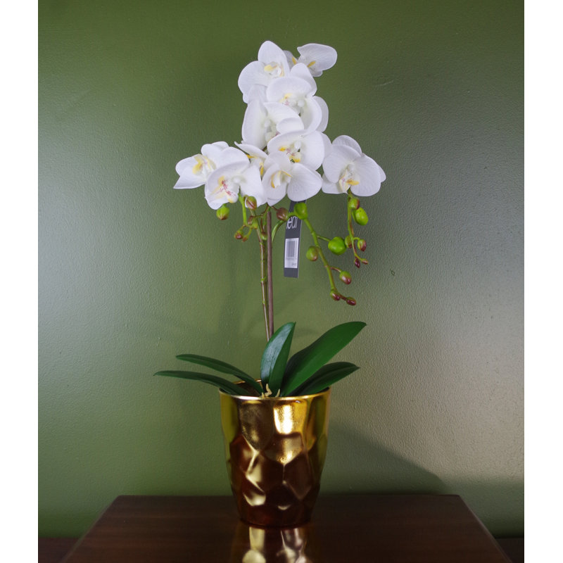Plastic, Silk Artificial Arrangement in Pot, 54cm H x 20cm W x 20cm D, White
