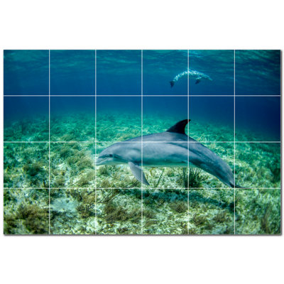 Dolphin Photo 4.25'' x 4.25'' Satin Ceramic Decorative Mural