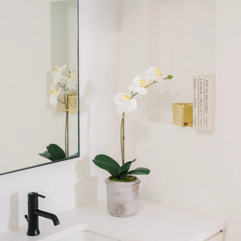 22" Artificial White Phalaenopsis Orchids