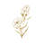 " Gold Line Carnation III "-464390180-455861947-455861940