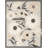 Aloha  Floral Beige Indoor/Outdoor Area Rug-386050050