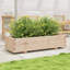 Bhavika Planter Box-1814111153-1814111151