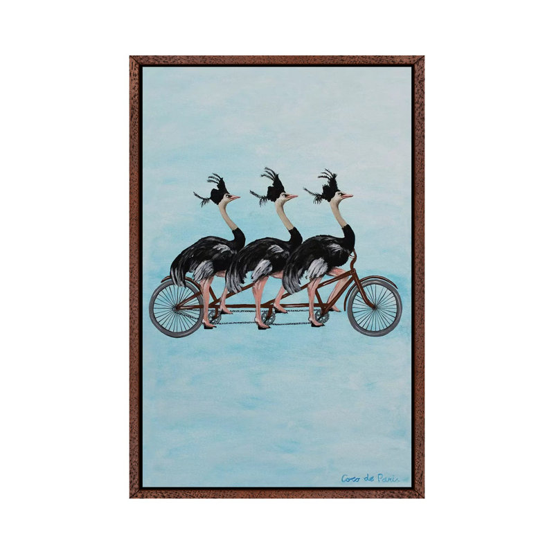 Ostriches On Bicycle by Coco De Paris - Print on Canvas, Classic Brown Wood Framed, 66.04cm H x 20.32cm W x 3.81cm D